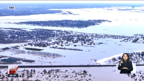 Әрбір азамат, әрбір отбасыға шығындары өтеледі - Президент