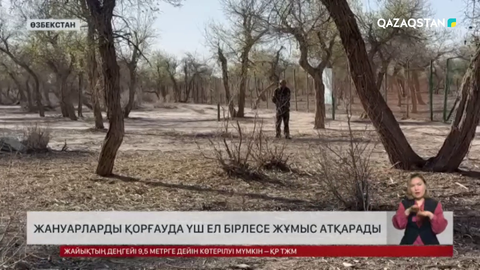 Жануарларды қорғауда үш ел бірлесе жұмыс атқарады
