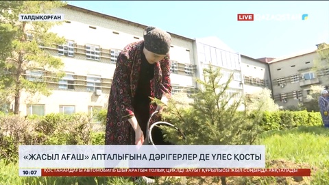 «Жасыл ағаш» апталығына жетісулық дәрігерлер де үлес қосты
