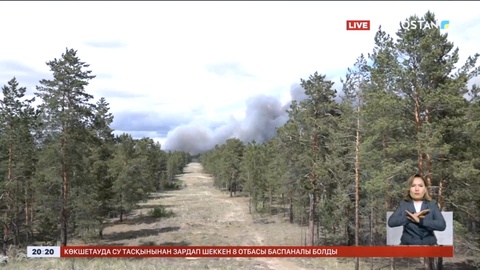 Cемей орманында өрт шықты