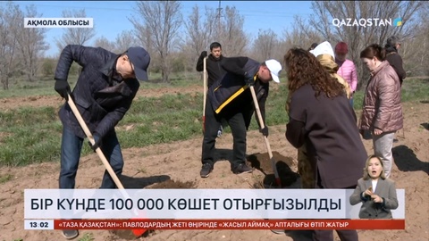 Бүгін еліміз бойынша 100 мыңға жуық көшет отырғызылды