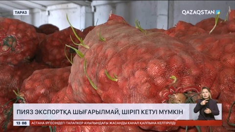 Жамбылда жиналған пияздың 60 пайызы шіріп кетуі мүмкін