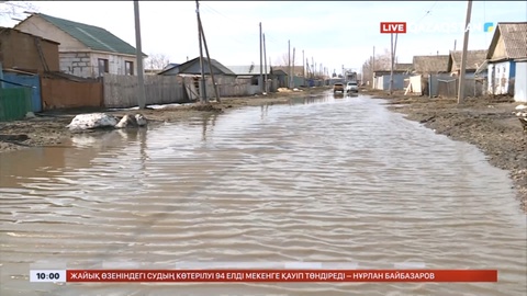 Ақмола, Ақтөбе, Қостанай және Солтүстік Қазақстан облыстарының әкімдері аймақтағы ахуалды Президентке баяндады