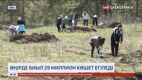 Шығыс Қазақстанда биыл 29 миллион көшет егіледі