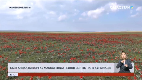 Қызғалдақтарды қорғау мақсатында геологиялық парк құрылады