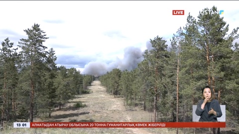 «Семей орманы» резерватындағы өртке қатысты сот шешімі шықты
