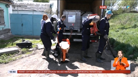 Шыбын-шіркейді улауға 105 млн теңге жұмсалады