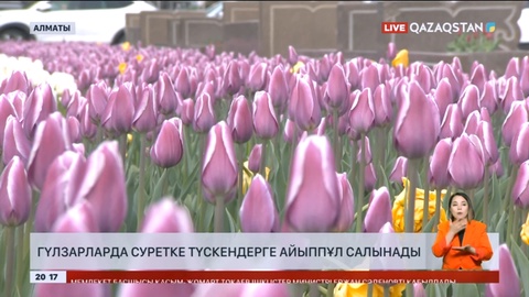 Гүлзарларда суретке түскендерге айыппұл салынады