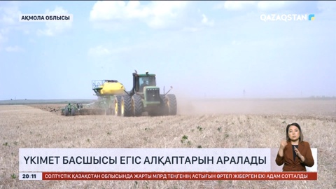 Үкімет басшысы Ақмола облысындағы егіс алқаптарын аралады