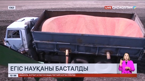 Солтүстік Қазақстан облысында егіс науқаны басталды