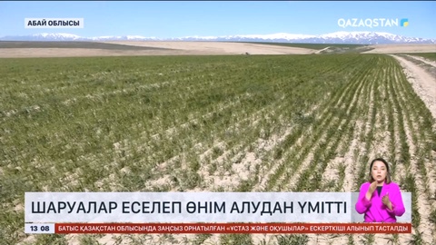 Абай облысында егістік науқаны қызу жүріп жатыр