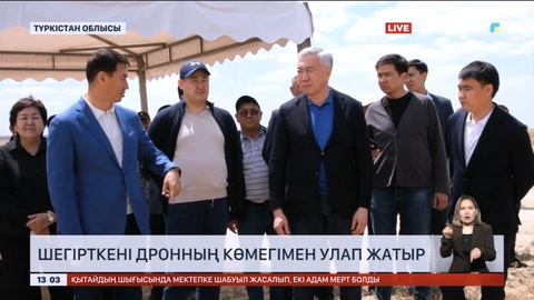 Түркістан облысында шегірткені дронның көмегімен улап жатыр
