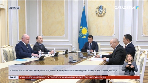 Көлеңкелі экономикаға қарсы іс-қимыл жөніндегі іс-шаралардың кешенді жоспары қаралды