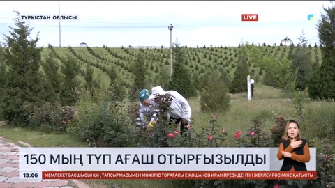 Түркістан облысында 150 мың түп ағаш отырғызылды