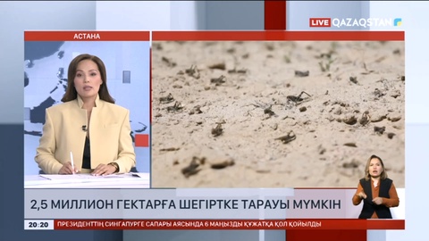 2,5 миллион гектарға үйірлі шегіртке таралуы мүмкін