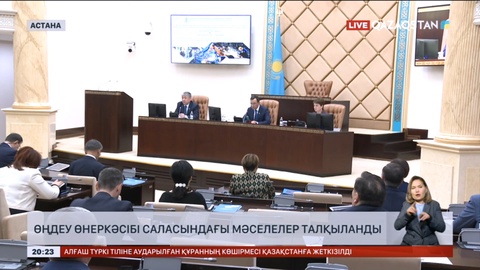 Сенатта өңдеу өнеркәсібі саласындағы мәселелер талқыланды