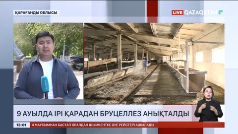 Қарағанды облысының 9 ауылында ірі қарадан бруцеллез анықталды