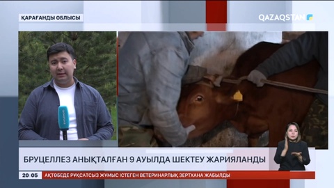 Қарағанды облысында бруцеллез анықталған 9 ауылда шектеу жарияланды