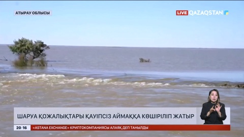 Атырауда Сарыөзек каналы бойындағы шаруа қожалықтары қауіпсіз аймаққа көшіріліп жатыр