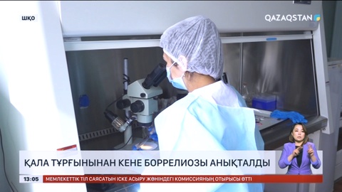 Өскеменде бір адам боррелиоз ауруына шалдықты