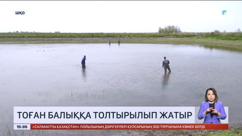 Шығыс Қазақстанда балық шаруашылығын дамыту қарқын алды