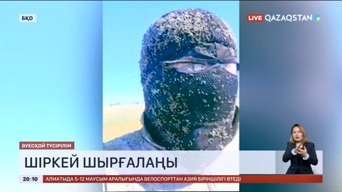 Батыс Қазақстан жұртын шыбын-шіркей әлекке салуда