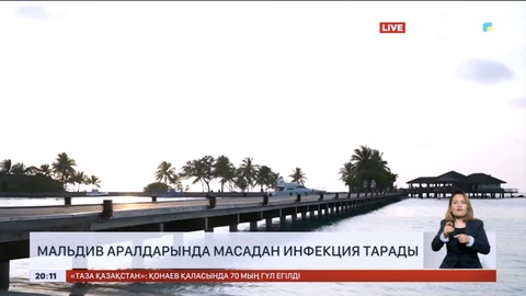 Мальдив аралдарында масадан инфекция тарады