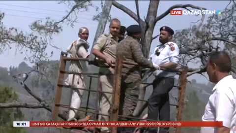 Үндістанда автобус жардан құлап, 15 адам қаза тапты