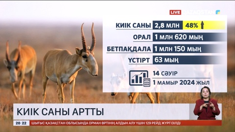 Киік саны артты