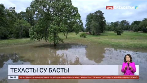 Техасты су басты