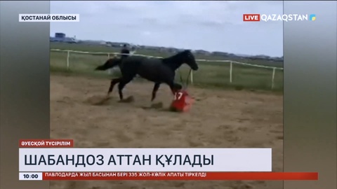 Қостанайда бәйге кезінде шабандоз аттан құлады