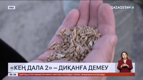 Егін егу: «Кең дала 2» бағдарламасы бойынша 300 млрд теңге қаржы бөлінген