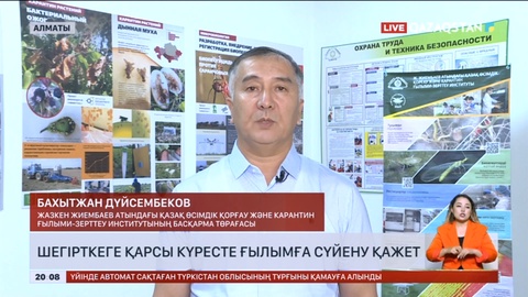 Шегірткеге қарсы күресте ғылымға сүйену қажет