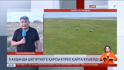 Түркістан облысындағы 5 ауданда шегірткеге қарсы күрес қайта күшейді