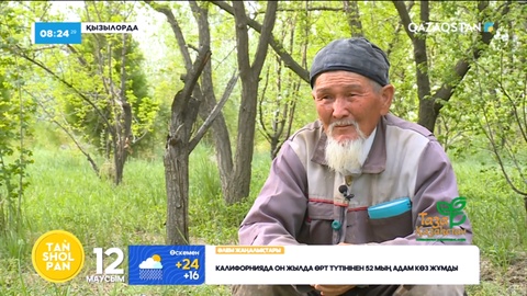 85 жастағы бағбан 2 млн түп ағаш еккен