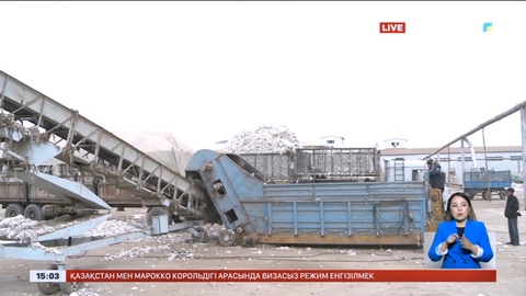 Жетісайлық шаруалар мақтаның ақшасын ала алмай жүр