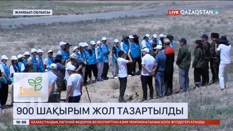 Жамбыл облысында 900 шақырым жол тазартылды