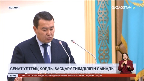 Сенат Ұлттық қорды басқару тиімділігін сынады