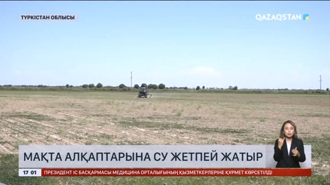 Жетісай ауданында мақта алқаптарына су жетпей жатыр