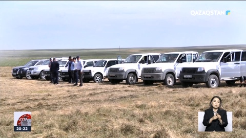 Шегірткемен күрес: Түркістан облысында диқандар шығынға батты