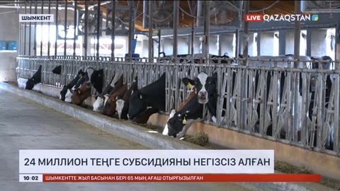 Шымкенттік кәсіпкер 24 млн теңге субсидияны алаяқтықпен алған