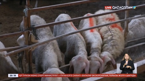 Израиль әскері тактикалық үзіліс жасады