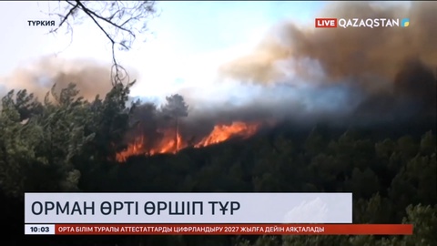 Түркияда орман өрті өршіп тұр