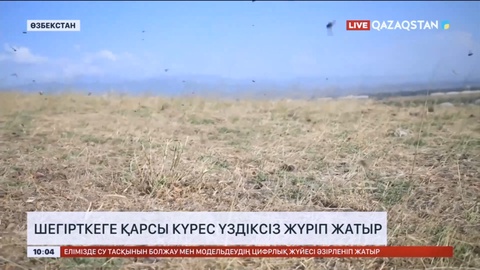 Өзбекстанда шегірткеге қарсы күрес үздіксіз жүріп жатыр