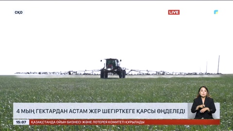 Солтүстік Қазақстанда 4 мың гектардан астам жер шегірткеге қарсы өңделеді