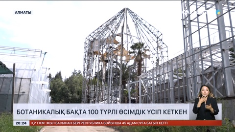 Алматыдағы ботаникалық бақта 100 түрлі өсімдік үсіп кеткен