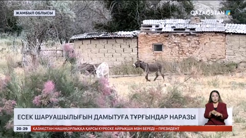 Жамбылда есек шаруашылығын дамытуға тұрғындар наразы