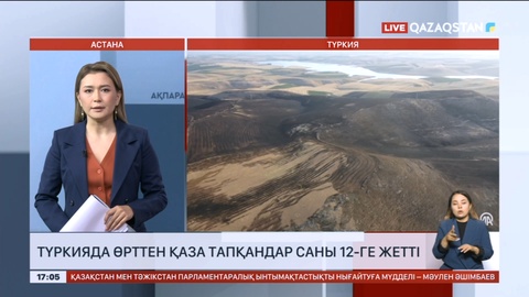 Түркияда өрттен қаза тапқандар саны 12-ге жетті