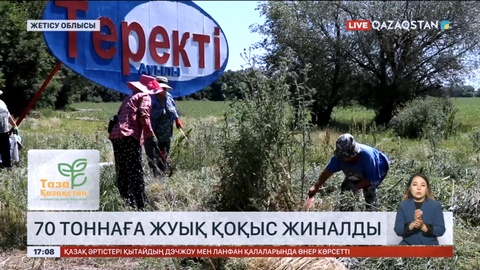 Жетісу облысында 70 тоннаға жуық қоқыс жиналды