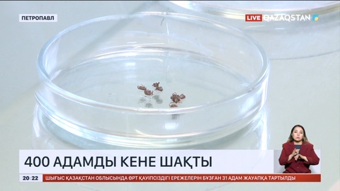 Солтүстік Қазақстан облысында 400 адамды кене шақты